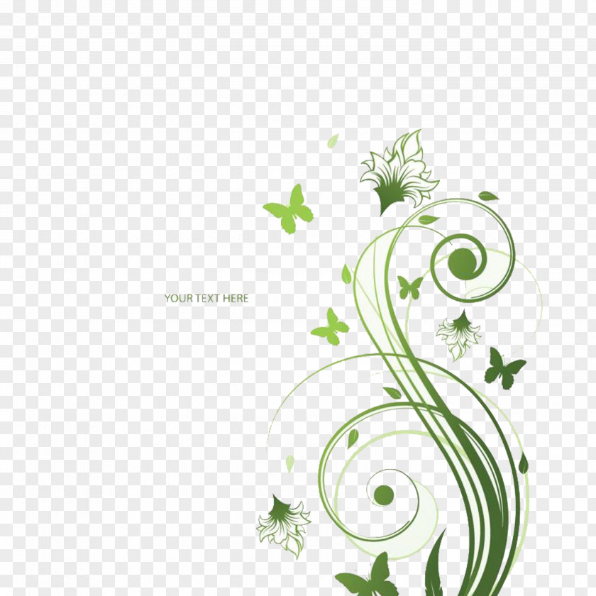Grass Flower Stock Photography Green Floral Design PNG