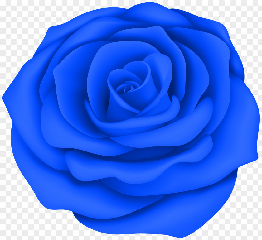 Rose Clip Art Desktop Wallpaper Image Drawing PNG