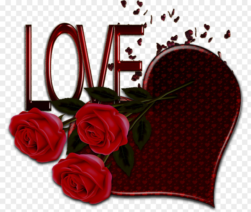 Rose Love Valentines Day Morning PNG