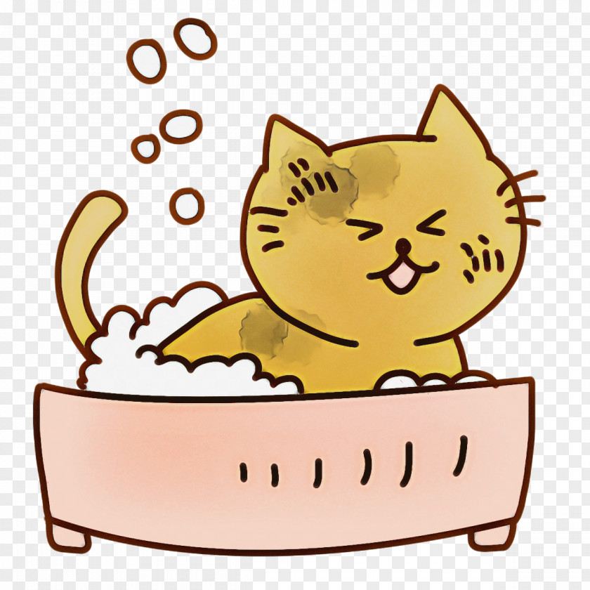 Kitten Cartoon Cat Drawing Whiskers PNG