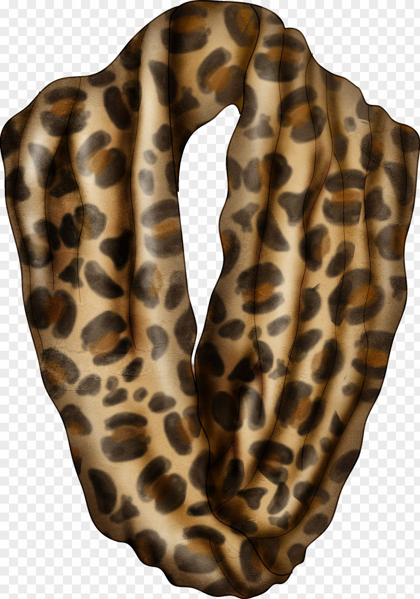 Pretty Leopard Scarf Foulard PNG