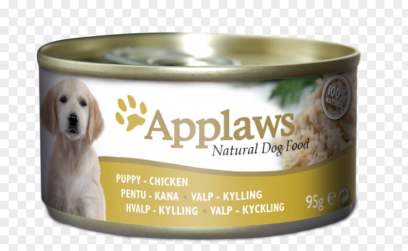 Puppy Dog Food Cat Pet PNG