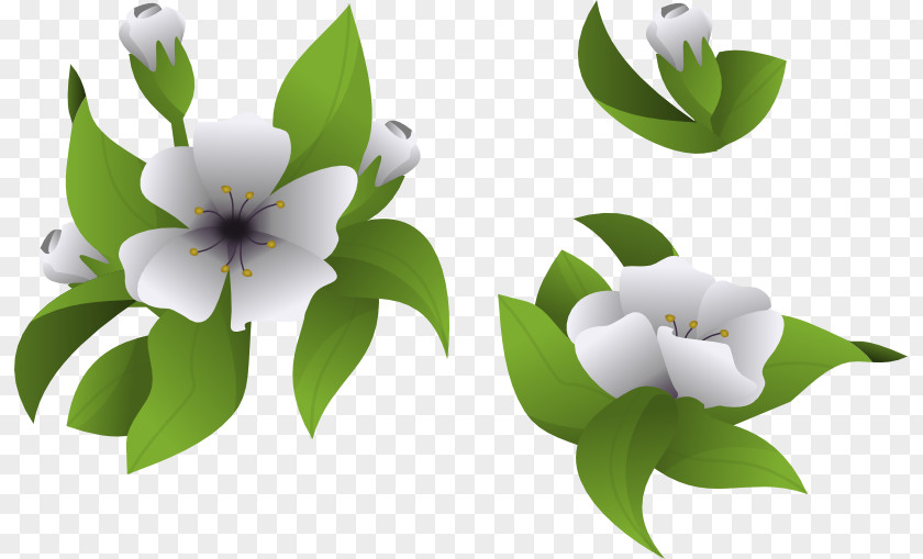 Team Cherry Flowering Plant Desktop Wallpaper Clip Art PNG