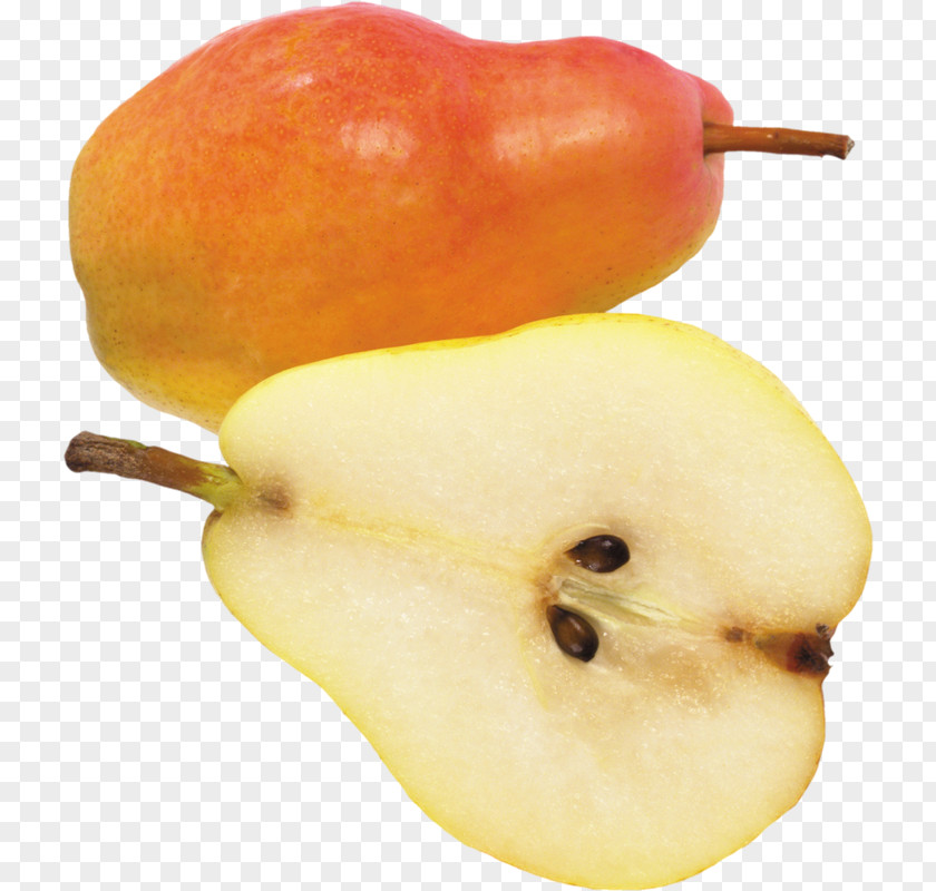 Xw European Pear Fruit Clip Art PNG