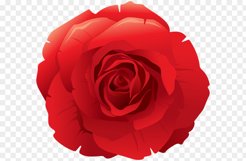 Youtube Garden Roses YouTube Art Clip PNG