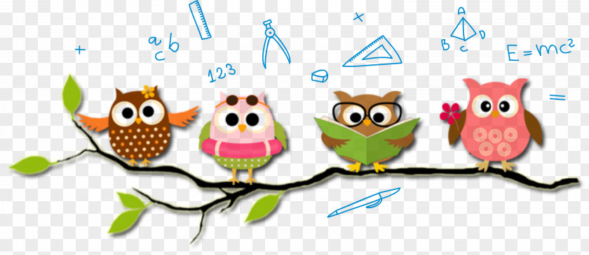 Bird Of Prey Owl Cartoon Line Branch PNG