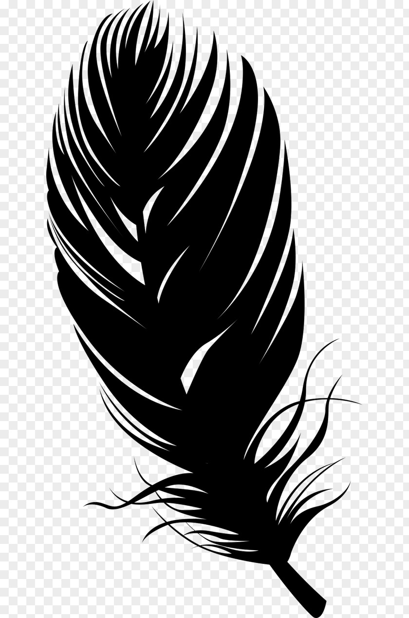 Black Feather Quill Pen Bird Silhouette PNG