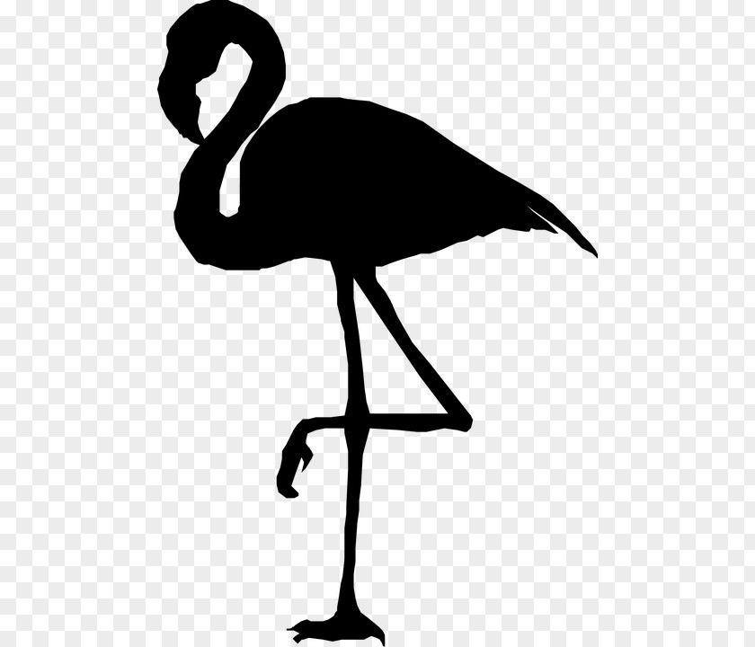 Clip Art Silhouette Flamingo PNG