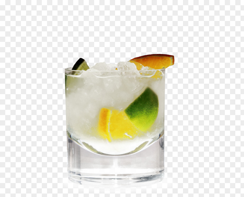 Cocktail Caipirinha Gin And Tonic Caipiroska Garnish Sea Breeze PNG