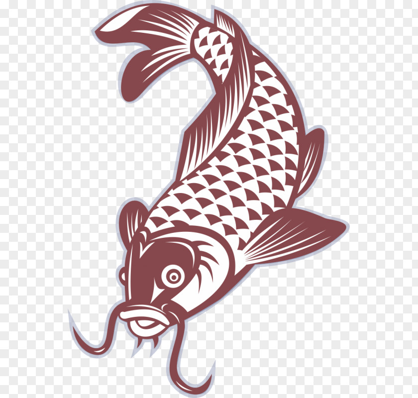 Fish Koi Goldfish Carp PNG