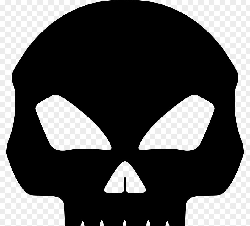 Skull Calavera Human Skeleton Clip Art PNG
