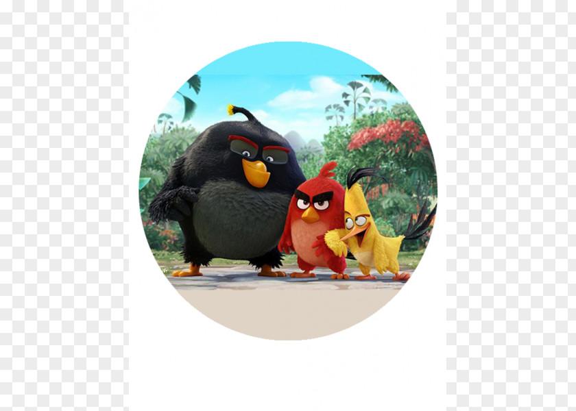 Bird Angry Birds 2 Star Wars II Film Cinema PNG