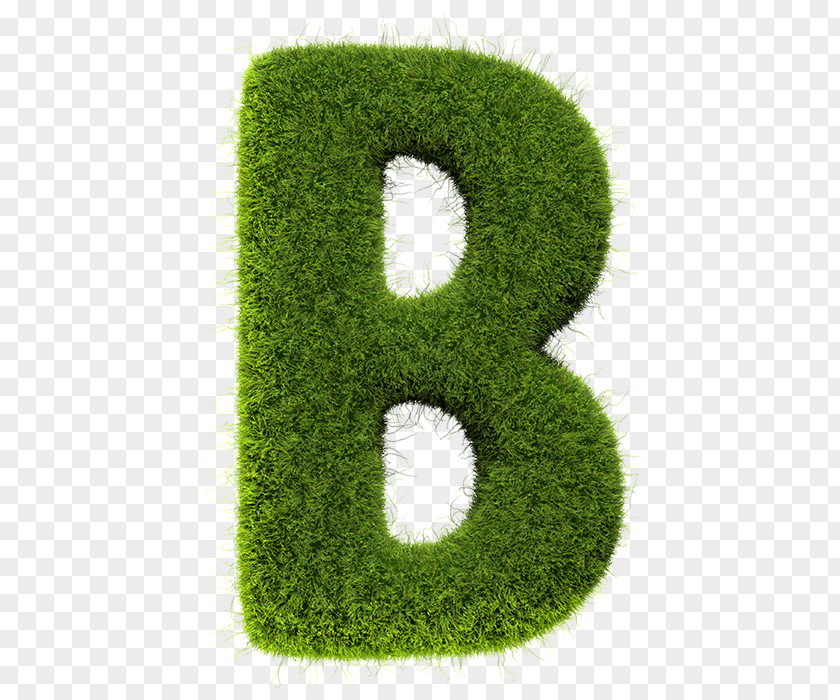 Grass Texture Product Font Text Messaging PNG