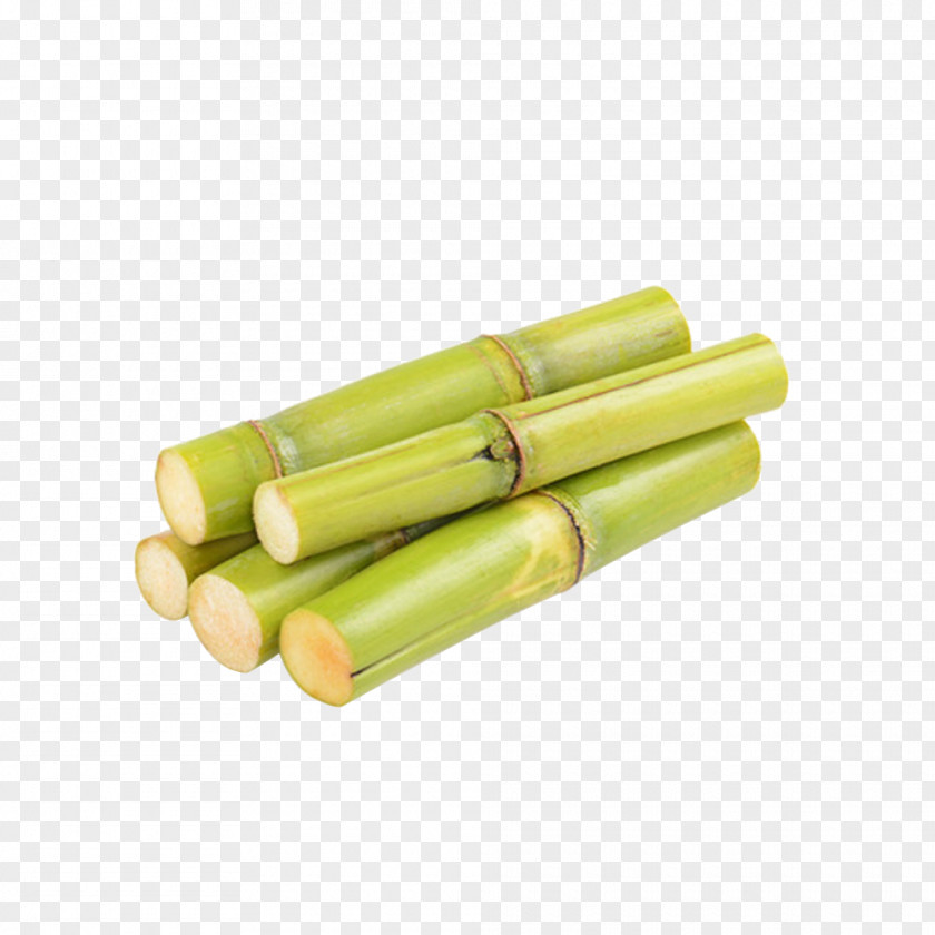 Green Cane Sugar Real Shot Chart Sugarcane Saccharum Officinarum Icon PNG