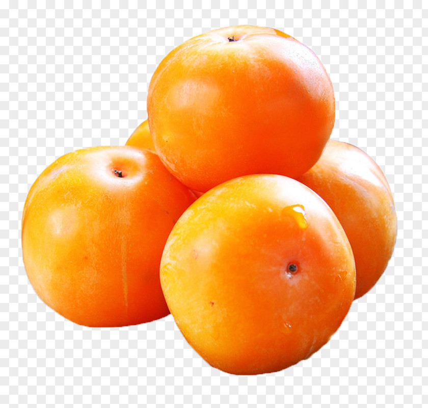 Persimmon Japanese Fruit Food Sweetness PNG