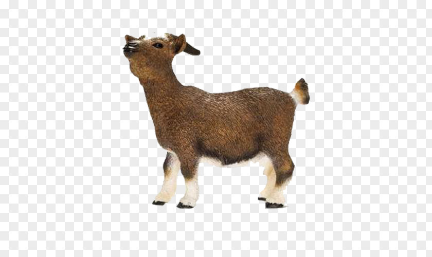 Schleich Nigerian Dwarf Goat Toy Figure Cattle Domestic PNG