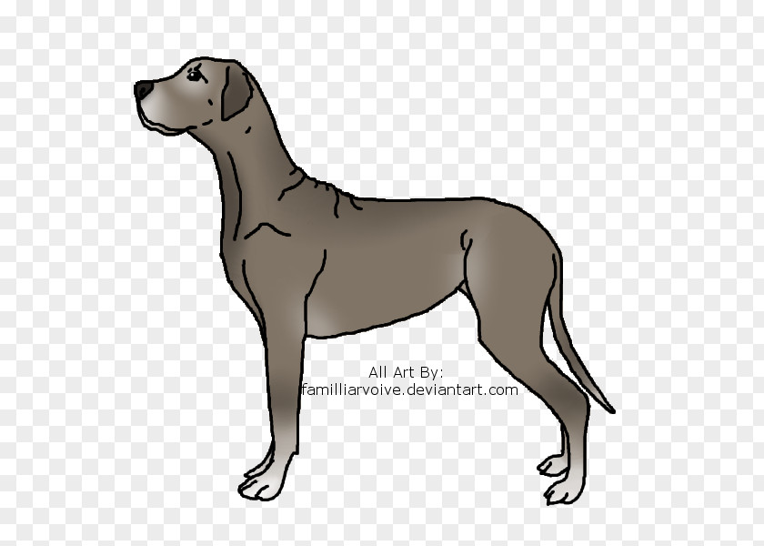 T-shirt Great Dane Sloughi Irish Wolfhound Dog Breed PNG