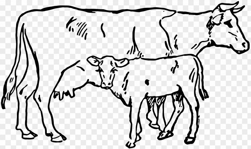 Calf Hereford Cattle Angus Clip Art PNG