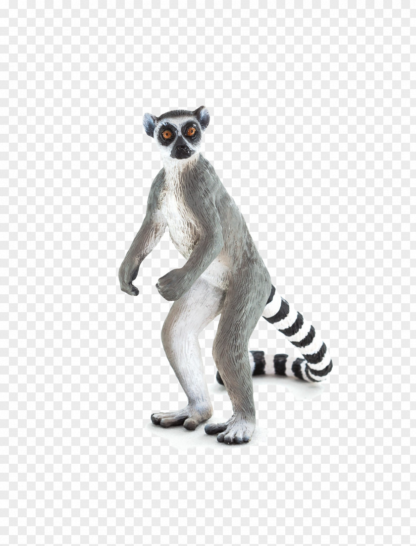 Toy Lemurs Amazon.com Ring-tailed Lemur Cougar Wildlife PNG