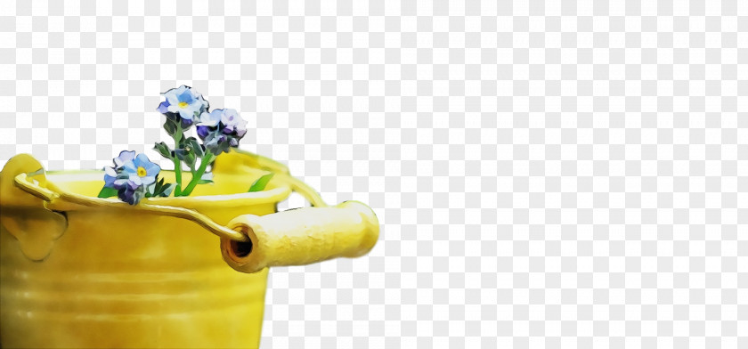 Yellow Plant Flower PNG