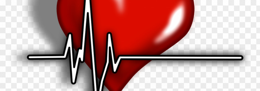 Coronary Artery Disease Pulse Cardiology Medicine Physician Heart PNG