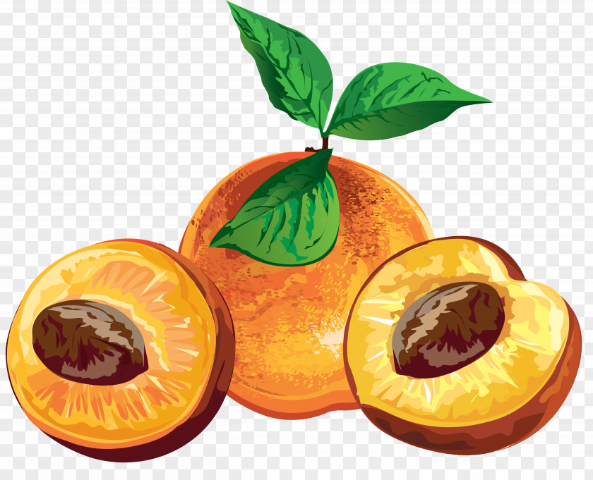 Design Fruit Label Clip Art PNG