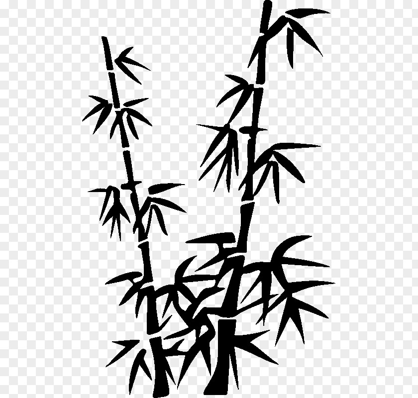 Flower Blackandwhite Bamboo Tree PNG