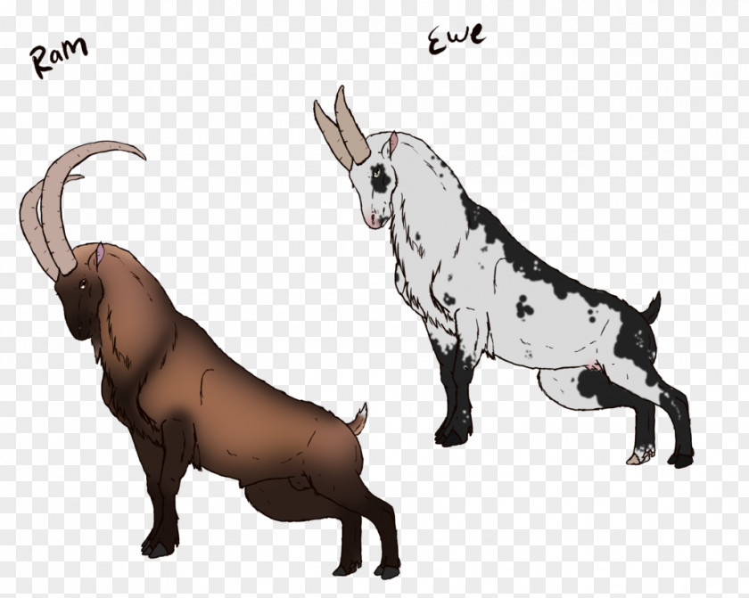 Ibex Ram Cattle Dog Goat Horse Pig PNG