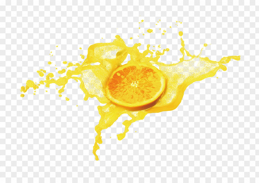 Splash Juice Orange Citrus Xd7 Sinensis PNG