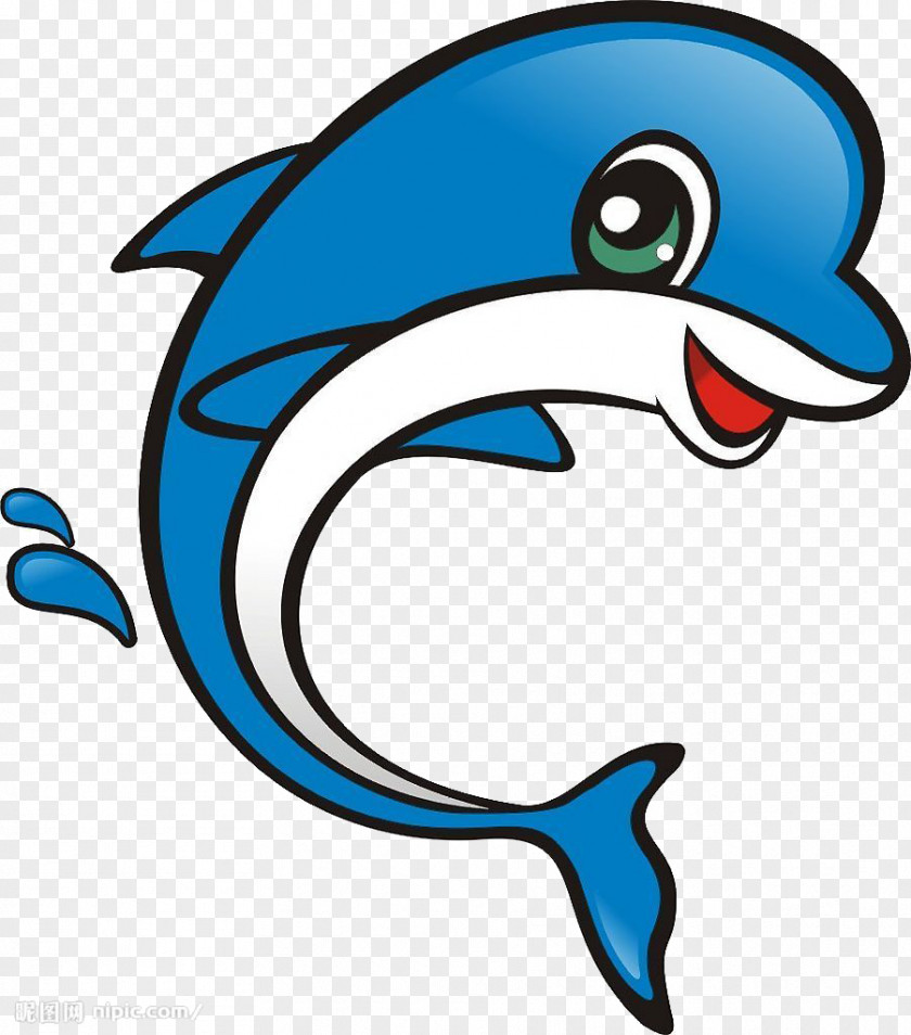 Blue Dolphin Cartoon Motif PNG