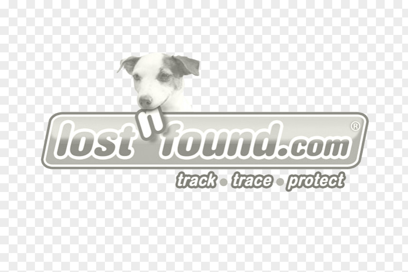 Dog Breed Italian Greyhound Logo Brand PNG