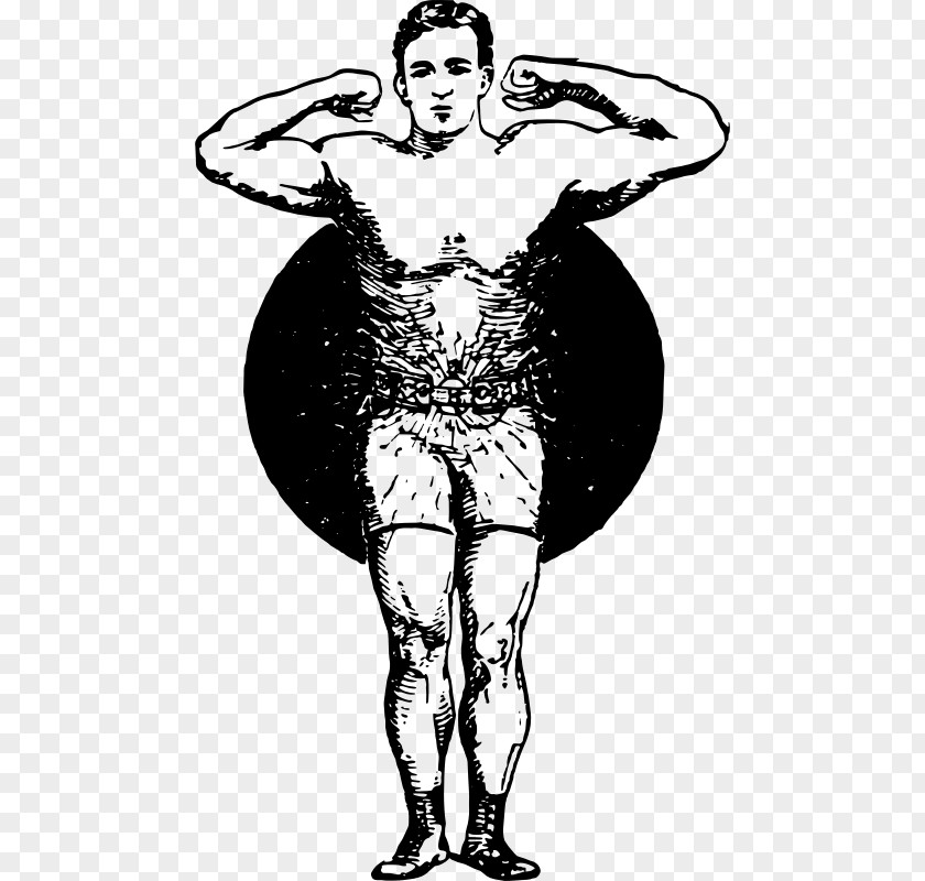 Drawing Muscle Clip Art PNG