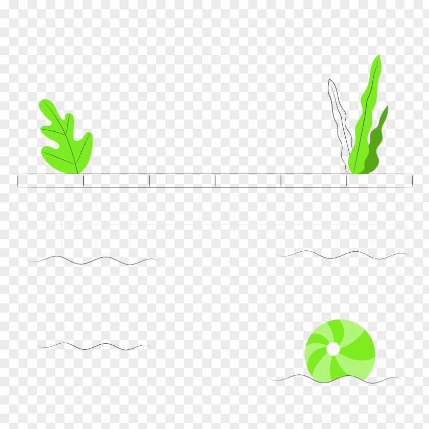 Grasses Leaf Plant Stem Flower Meter PNG