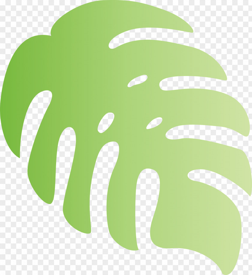 Monstera Tropical Leaf PNG