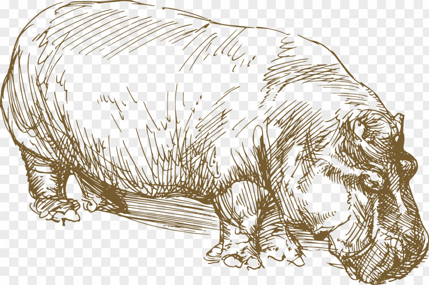 Vector Painted Hippo Drawing Animal Wildlife Sketch PNG