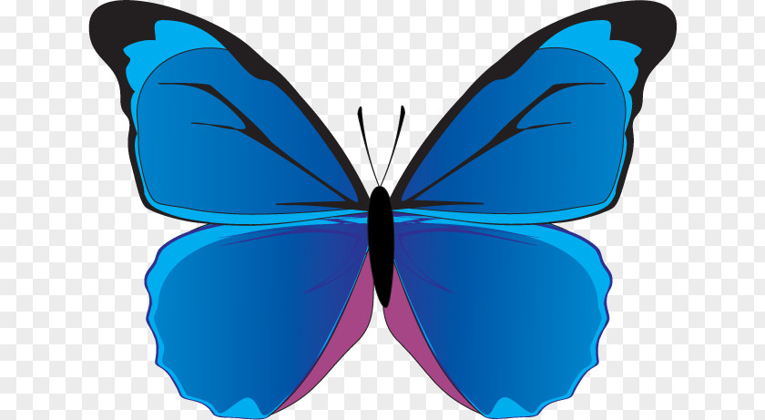 Butterfly Blue Morpho Clip Art PNG