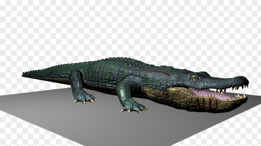 Crocodile Nile American Alligator Dinosaur PNG