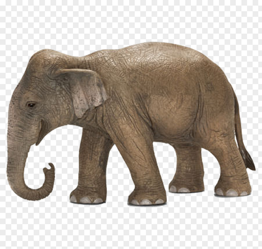 Elephant African Schleich Asia Amazon.com PNG