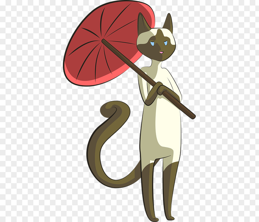 Kitten Siamese Cat Tonkinese Clip Art PNG