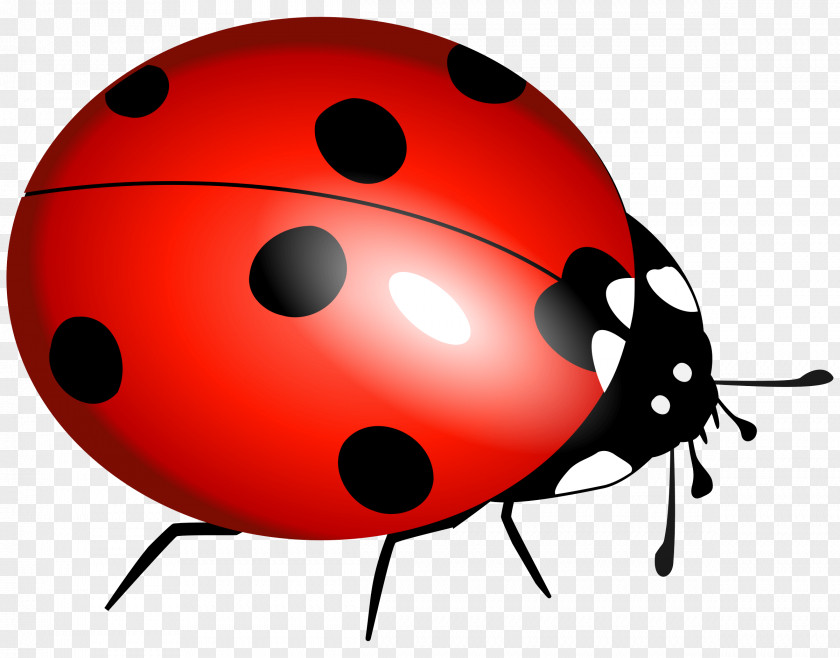 Ladybug Image Beetle Marinette Dupain-Cheng Adrien Agreste Ladybird Child PNG