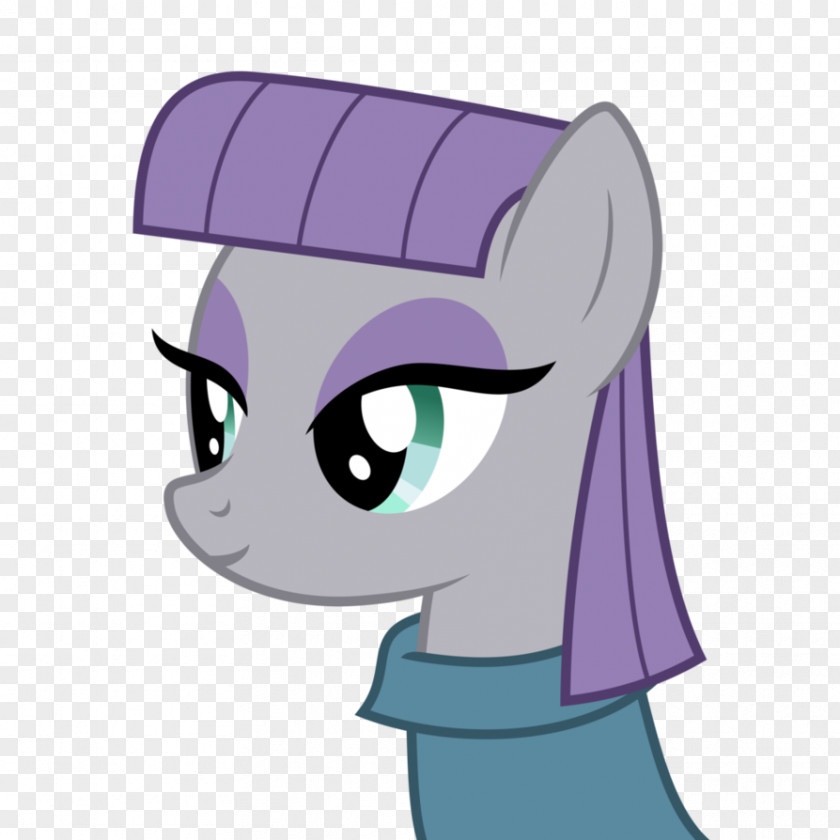 Pie My Little Pony: Friendship Is Magic Fandom Pinkie Twilight Sparkle Derpy Hooves PNG