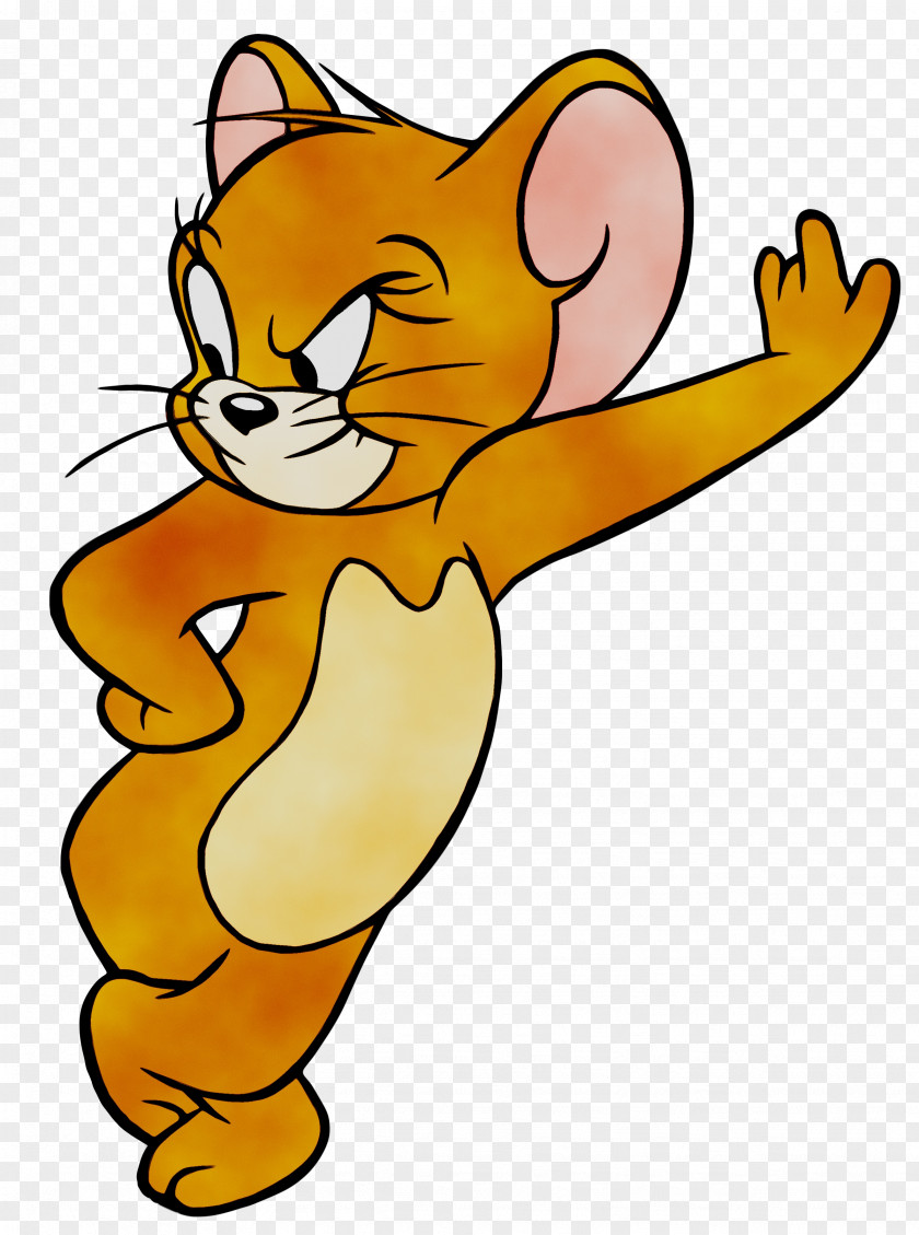 Tom Cat Jerry Mouse Nibbles And Desktop Wallpaper PNG