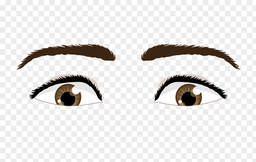 Anatomia Eyebrow Pupil Blog PNG