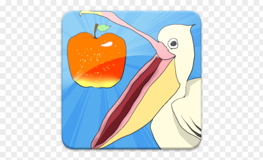 Beak Illustration Seabird Cartoon PNG