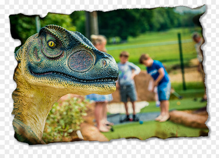 Dinosaur Alligators Fauna PNG