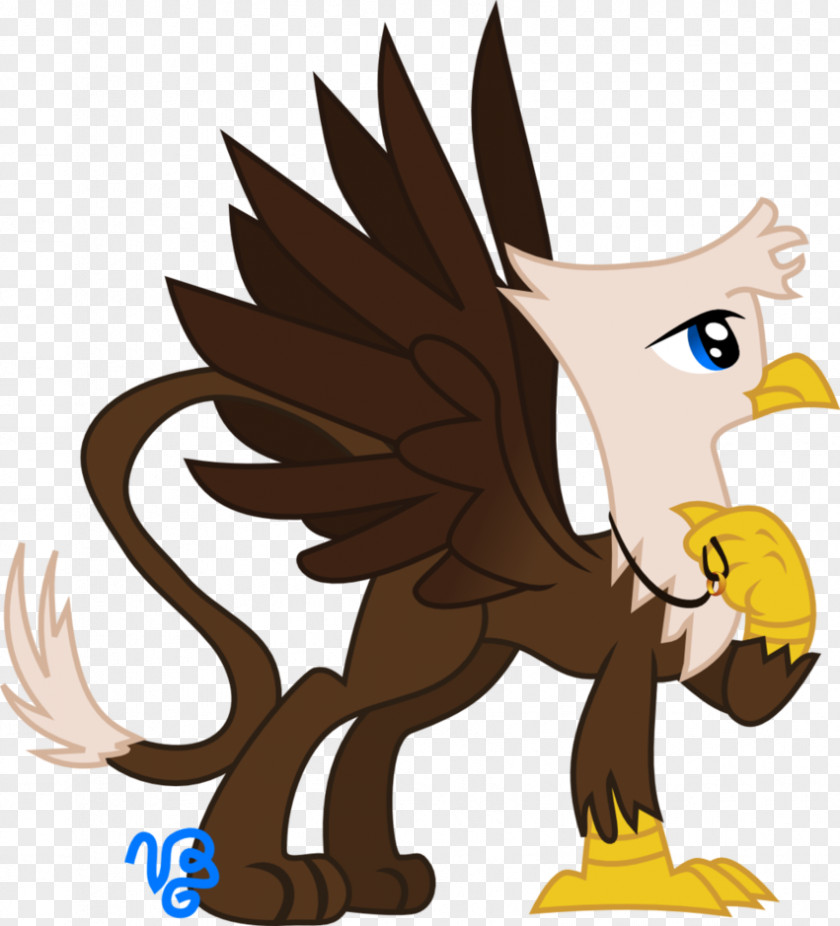 Owl Eagle Beak Clip Art PNG