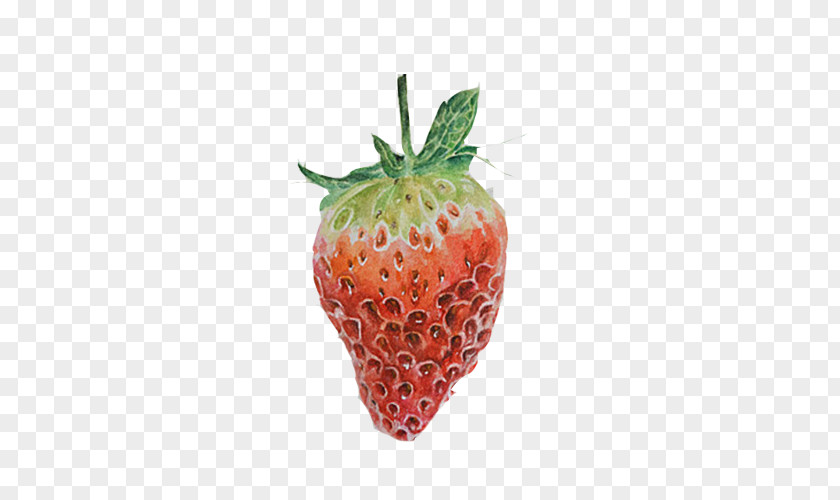 Strawberry Hand Painting Material Picture Red Amorodo Accessory Fruit Computer File PNG