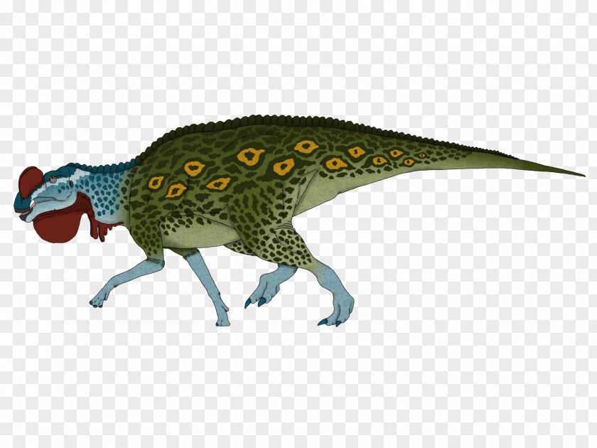Austroraptor Tyrannosaurus Dryptosaurus Animal Pelagosaurus PNG