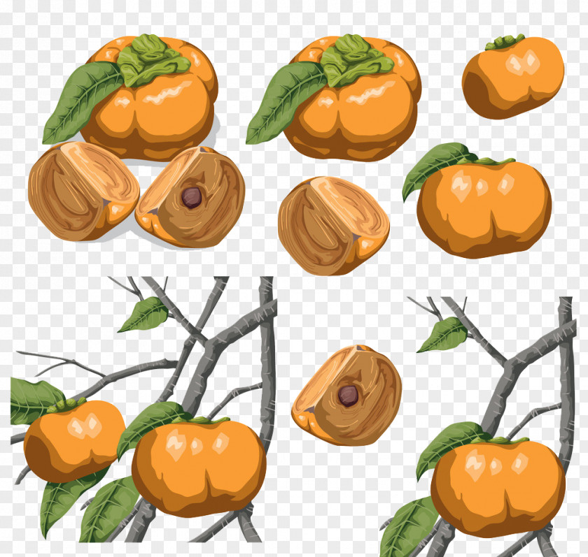 Hand-painted Persimmons Persimmon Clementine Calabaza Food PNG