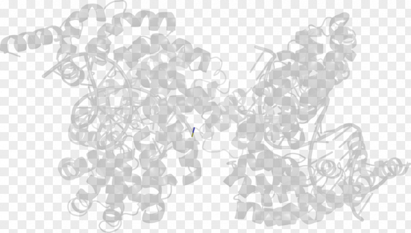 Line White Art Angle PNG